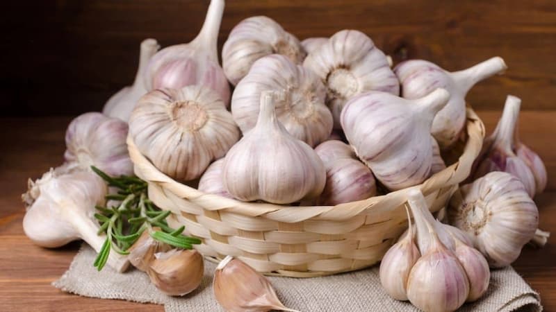تصویر 4 از سیر اصفهان متوسط ممتاز تندی کم و عطر فراوان